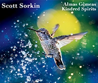 Scott Sorkin album artwork